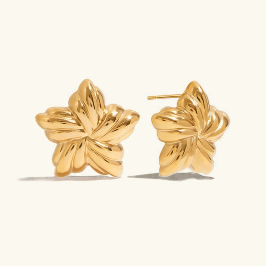 [Topon]Thymes Gold Star Earrings