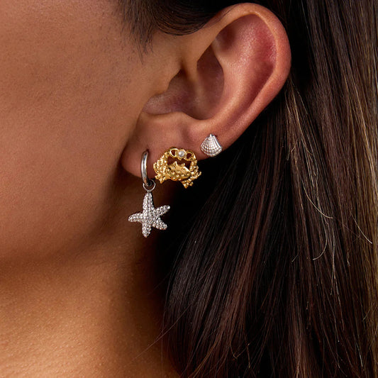 [Topon]Cheyenne Seaside Essential Earrings Bundle